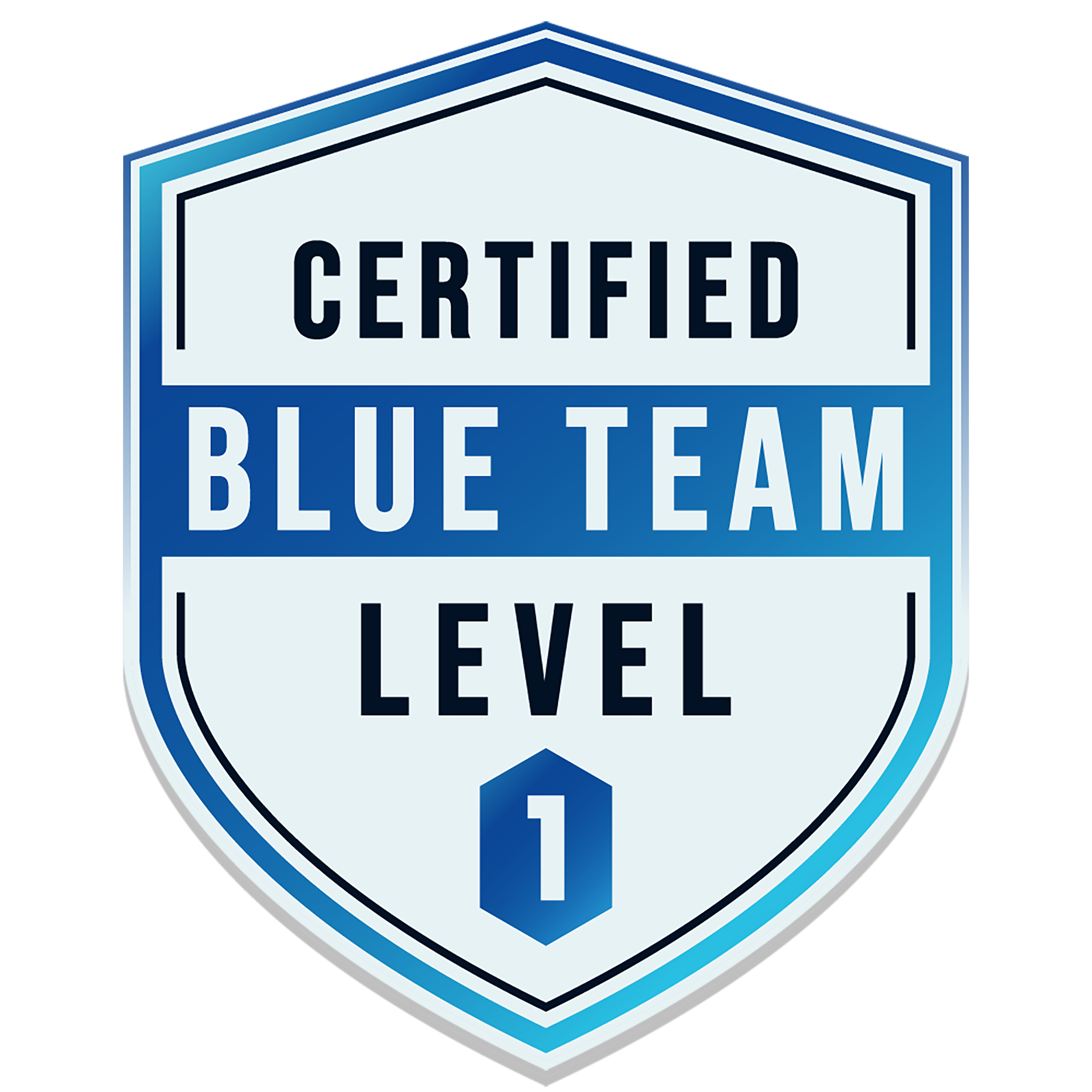 Security Blue Team BTL1